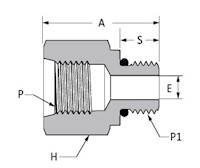 SAE Straight Thread Female Adapter